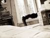 interieure 4